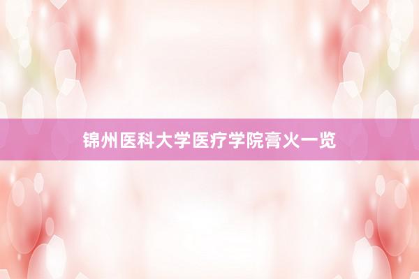 锦州医科大学医疗学院膏火一览