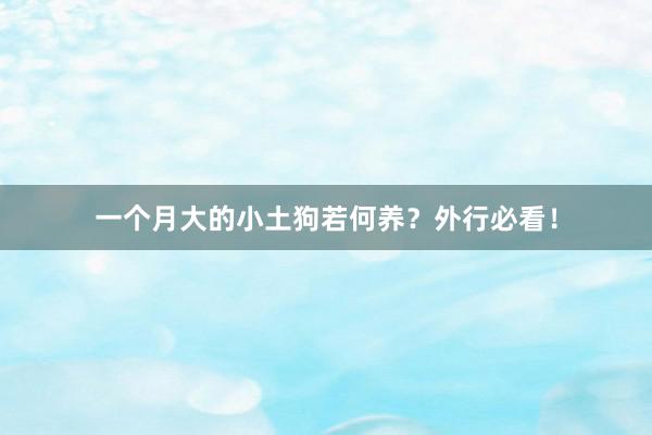一个月大的小土狗若何养？外行必看！
