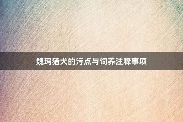 魏玛猎犬的污点与饲养注释事项