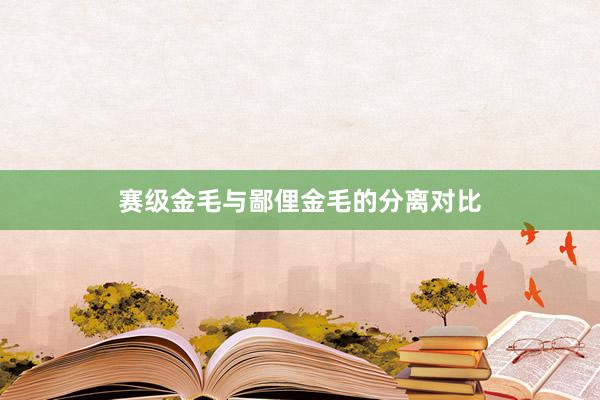 赛级金毛与鄙俚金毛的分离对比