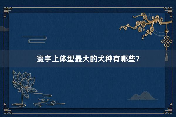 寰宇上体型最大的犬种有哪些?