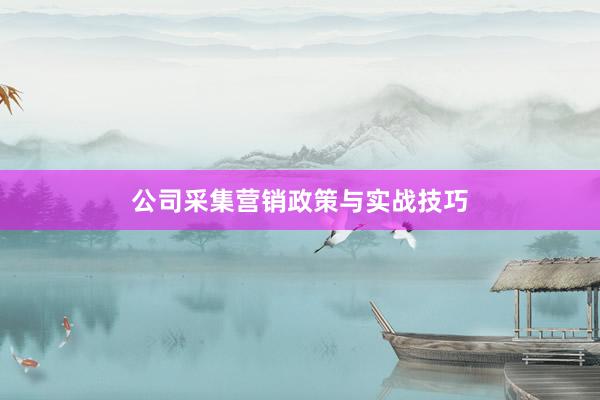 公司采集营销政策与实战技巧